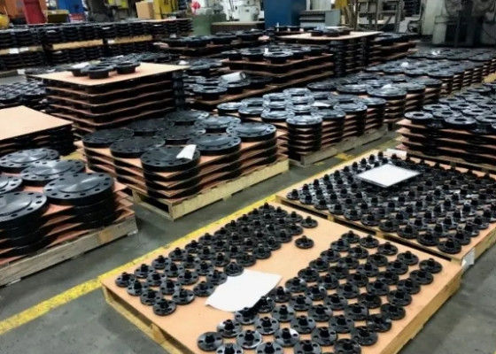1/2-48 Clasificación 900 de las bridas de acero para conexiones robustas y rendimiento fiable