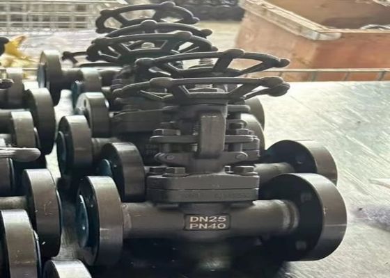Valvas de acero de 1/2 pulgadas con estilo de carrocería de capó abrochado y soporte personalizado de ODM