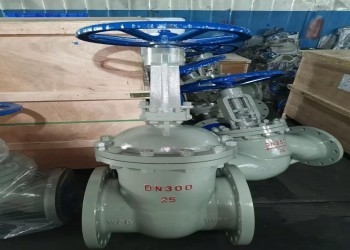 Válvula de mariposa de acero inoxidable de cuña única manual DN10-DN50