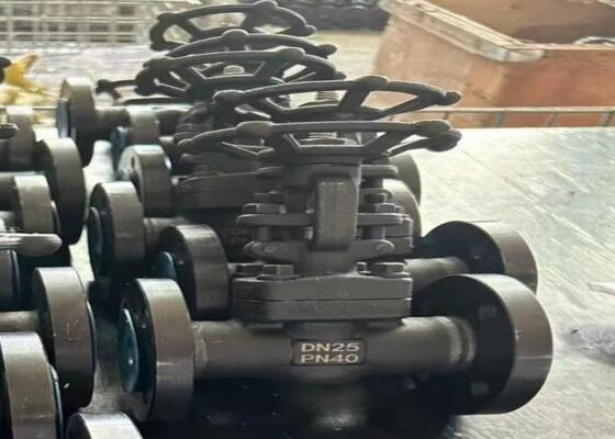 Válvula de puerta de acero manual con capó abrochado DN10-DN50 150lb-1500lb Alta resistencia a la corrosión