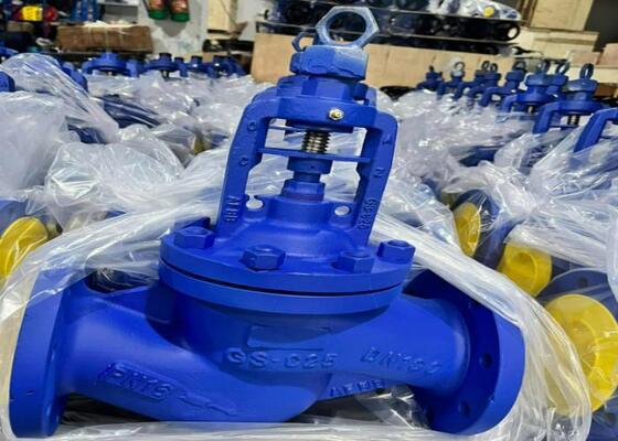 Válvula de puerta de acero manual con capó abrochado DN10-DN50 150lb-1500lb Alta resistencia a la corrosión